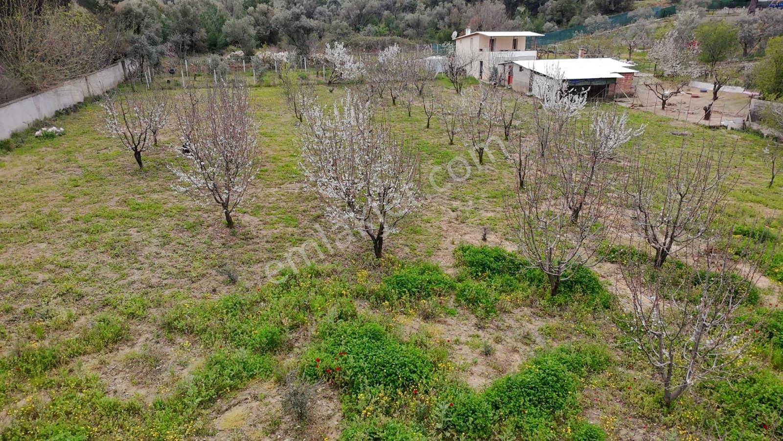 İzmir Kemalpaşa Aşağıkızılca’da 6.704 M² Arsa İçinde Taş Ev, Havuzlu, Bahçeli Yapı Kullanımlı - Görsel 9