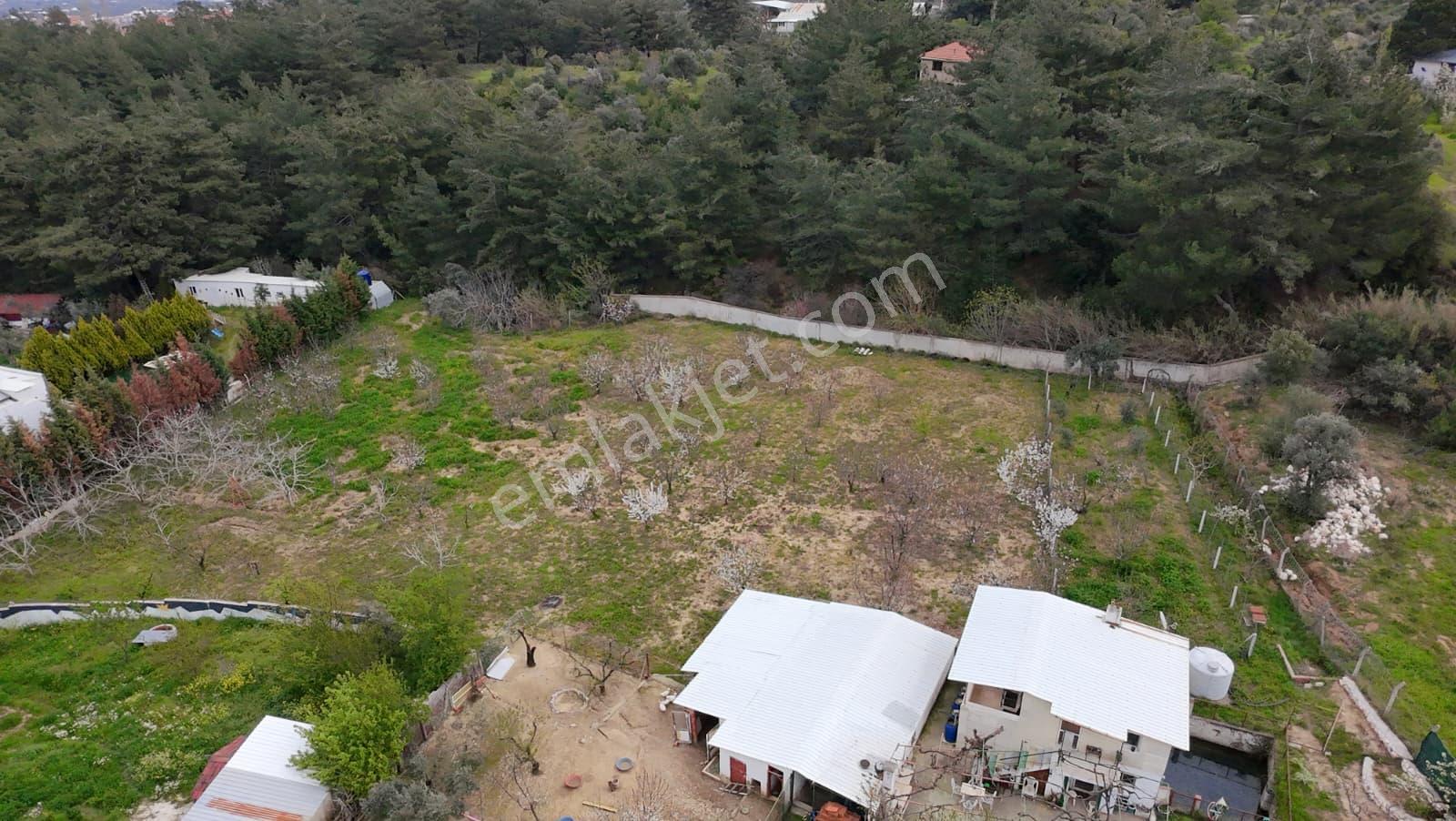 İzmir Kemalpaşa Aşağıkızılca’da 6.704 M² Arsa İçinde Taş Ev, Havuzlu, Bahçeli Yapı Kullanımlı - Görsel 8