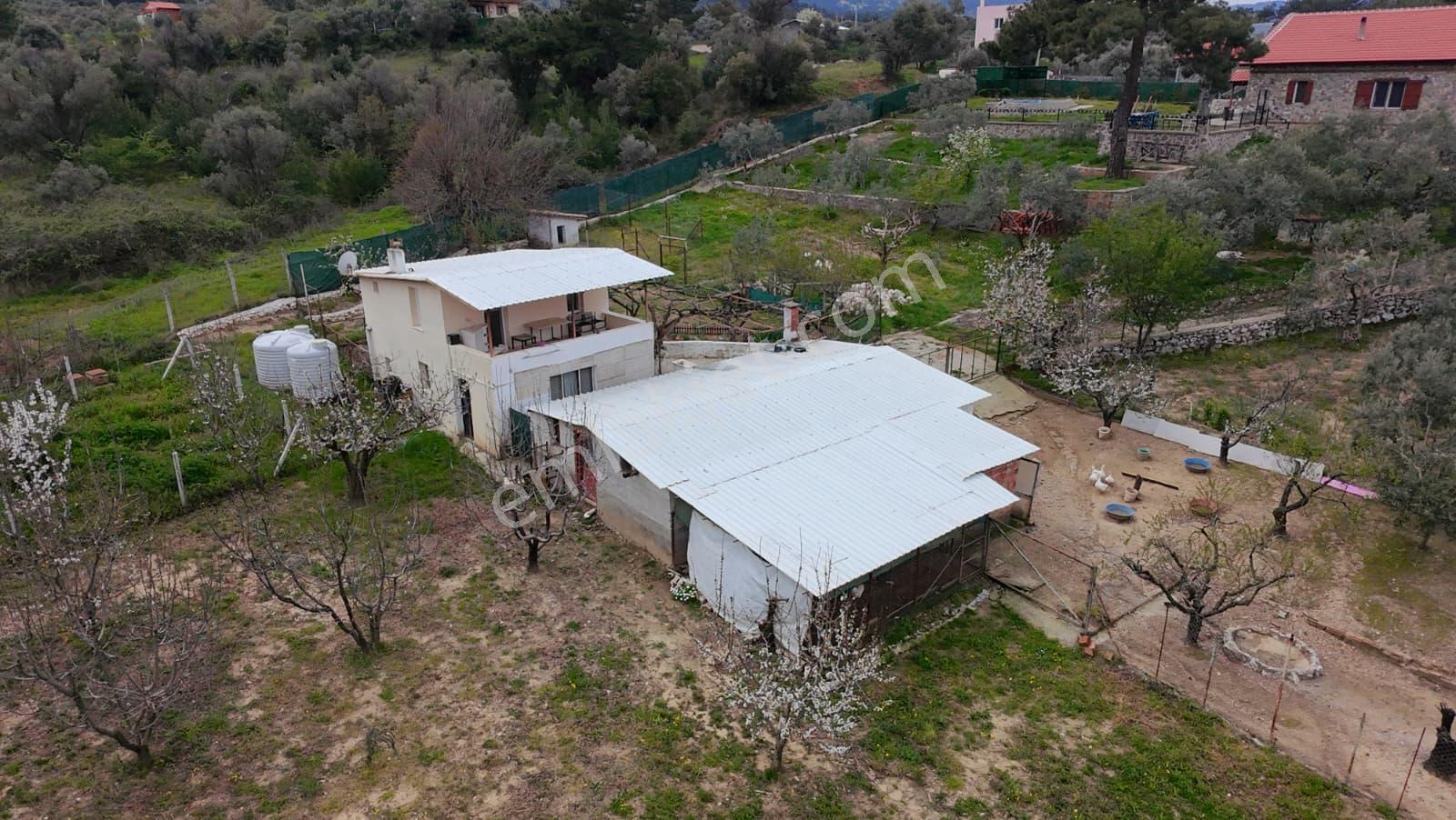 İzmir Kemalpaşa Aşağıkızılca’da 6.704 M² Arsa İçinde Taş Ev, Havuzlu, Bahçeli Yapı Kullanımlı - Görsel 6