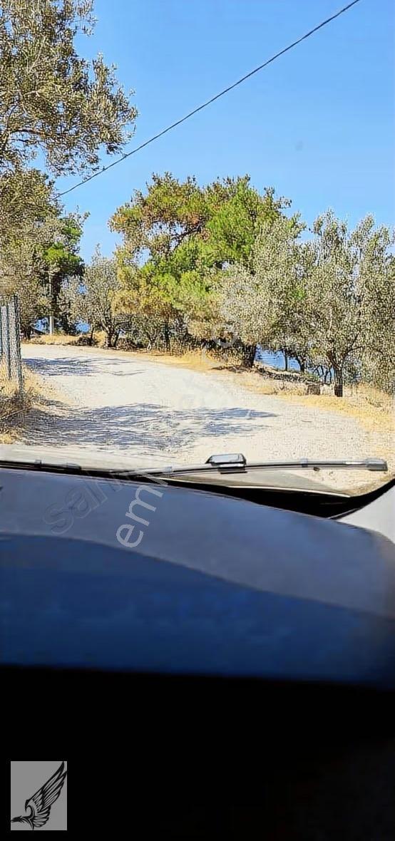Dikili Bademli Bölgesinde 1640m2 Ta2 Turizim İmarlı Arazi - Görsel 2