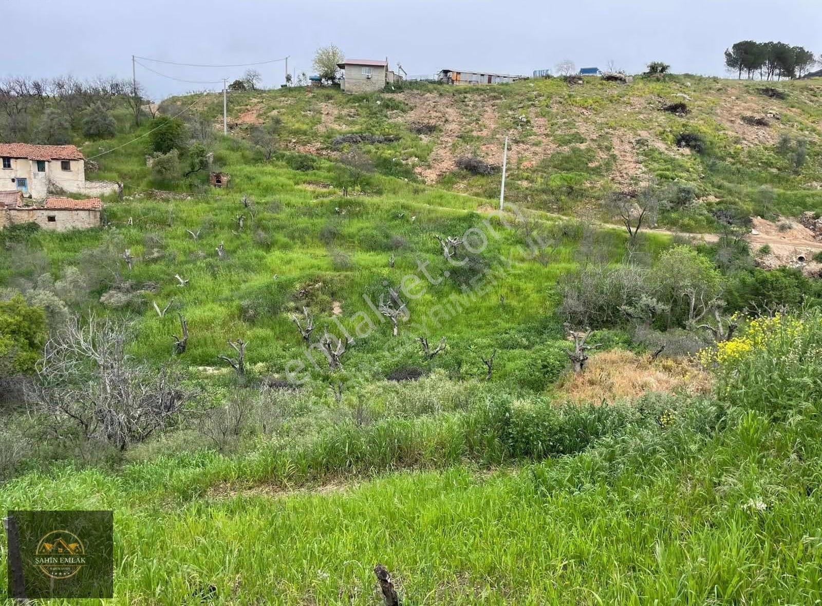 Tire Şahin Gayrimenkul'den Köy İçi İmarlı Arsa