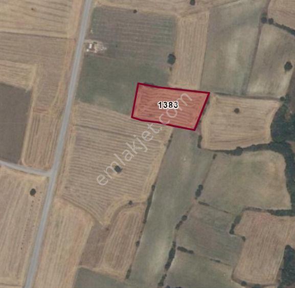 Kırklareli Ürünlü’de Emsallerinin Altında – Duble Yola Yakın Fırsat Tarla - Görsel 3