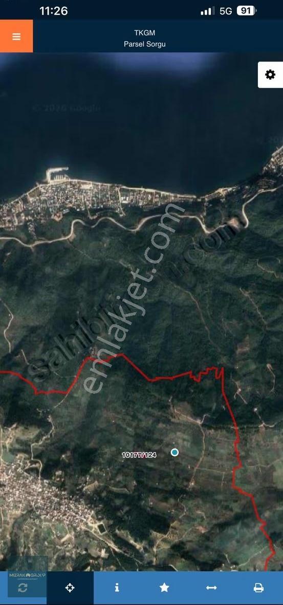 Gündoğdu Köy Altı 1850 M2 Deniz Manzaralı Tek Tapu Tarla - Görsel 4