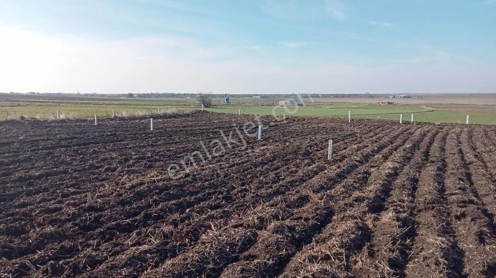 Tekirdağ Saray Sofular - Görsel 7