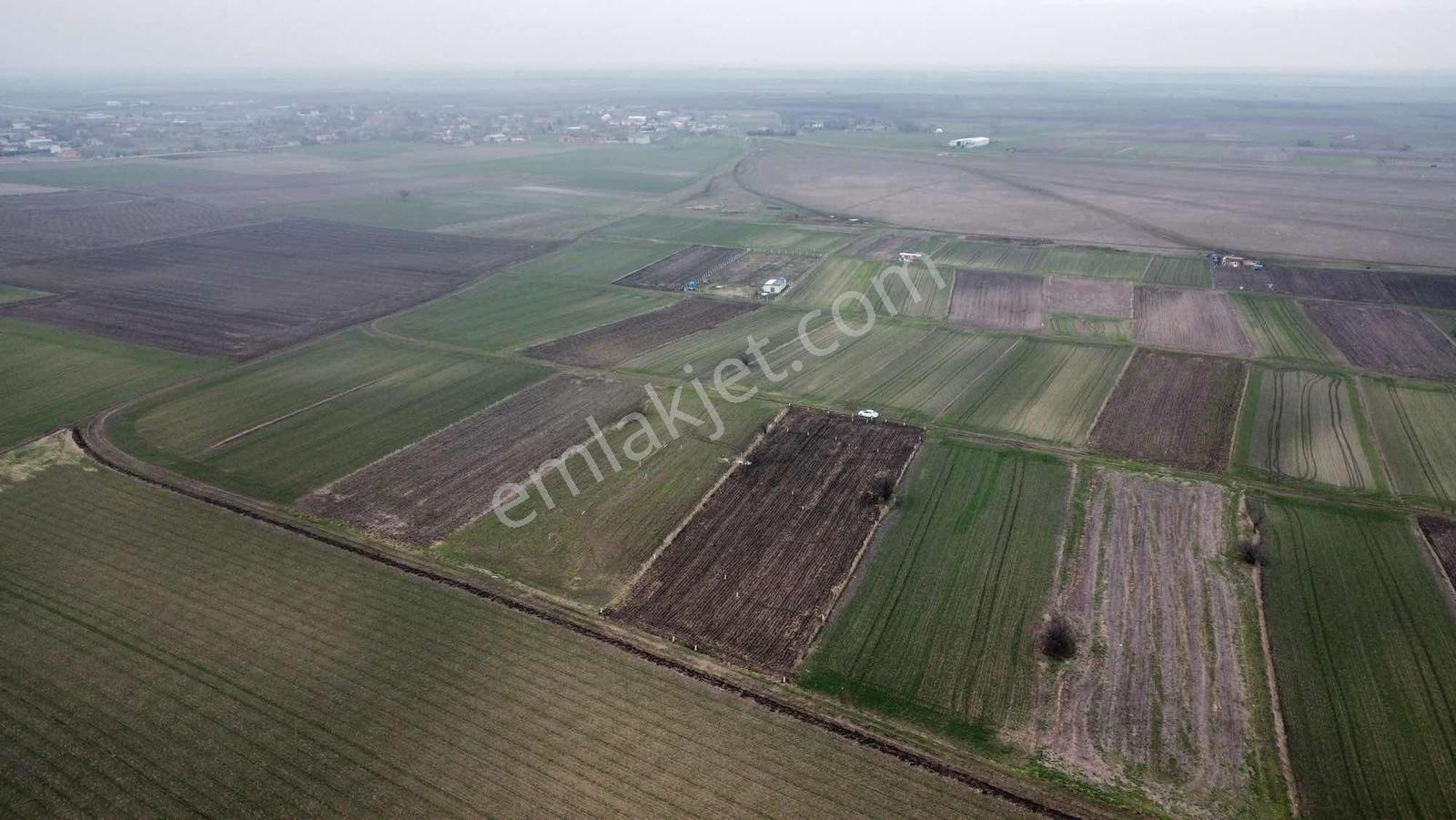 Tekirdağ Saray Sofular - Görsel 14