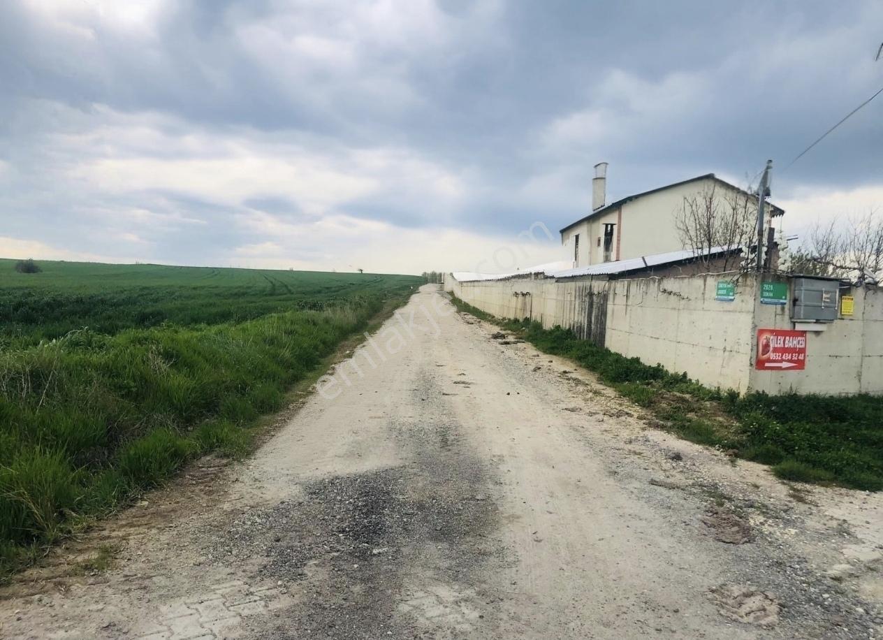 Ergene Yulaflı'da Osbye Yakın Yatırımlık 3.978 M² Tek Tapu - Görsel 4