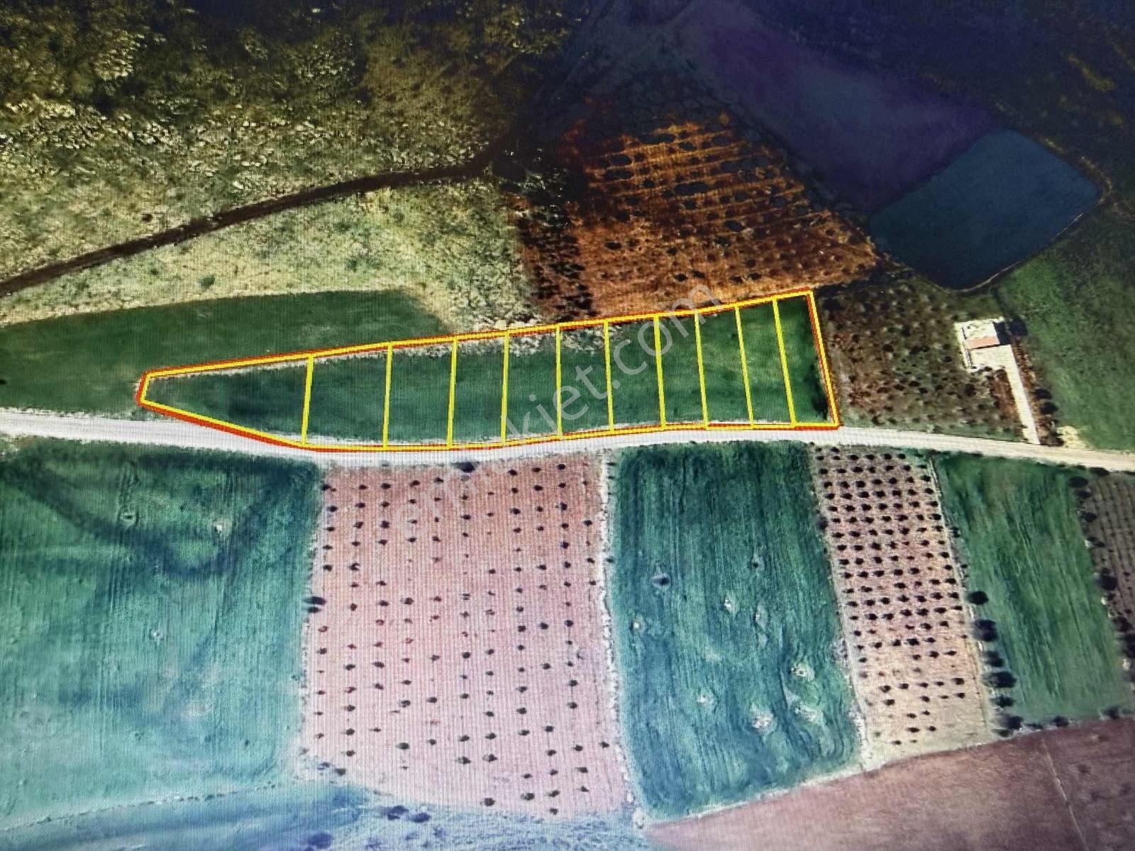 Gülpınar'da 1038m² Bağ Evlik Araziler Güneyşehir Manzaralı Arazi - Görsel 6