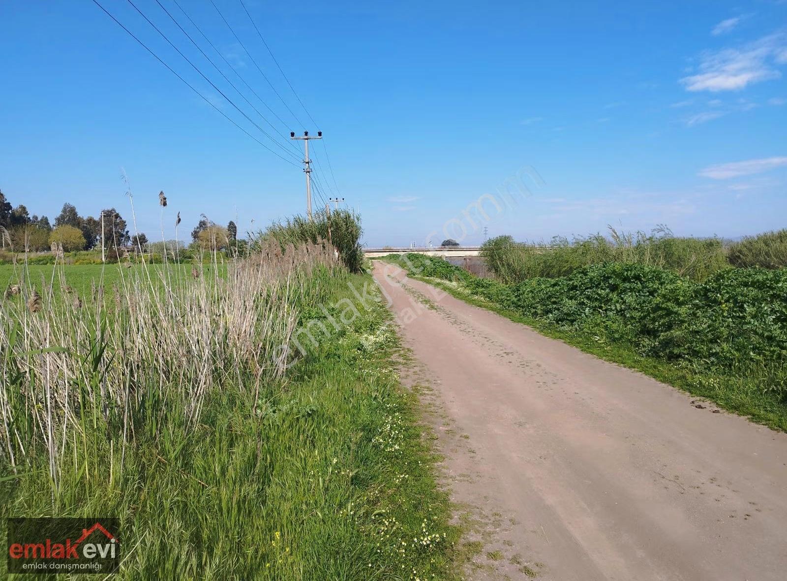 Emlak Evi'nden Baltakoy De Yol Kenarında Satılık Tarla - Görsel 12