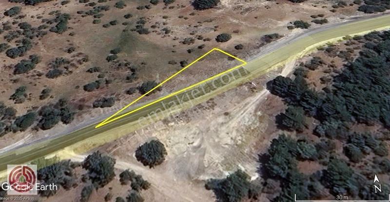 Satılık Tarla İzmir / Dikili / Nebiler Mahallesi 983m2 - Görsel 9