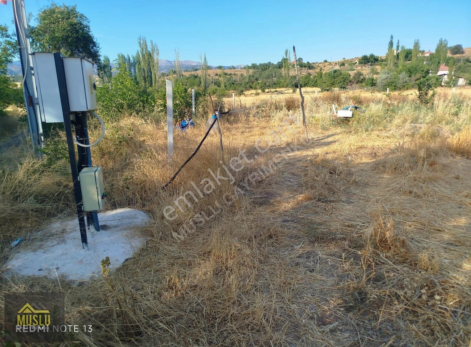 Muslu Gayrimenkulden Laçin-ikizce Ky. De Satılık Sulu Tarla - Görsel 8