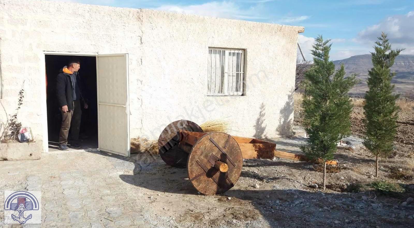 Mustafapaşada Satılık 2 Parsel Bağ Ve Bağ Evi Fırsatı