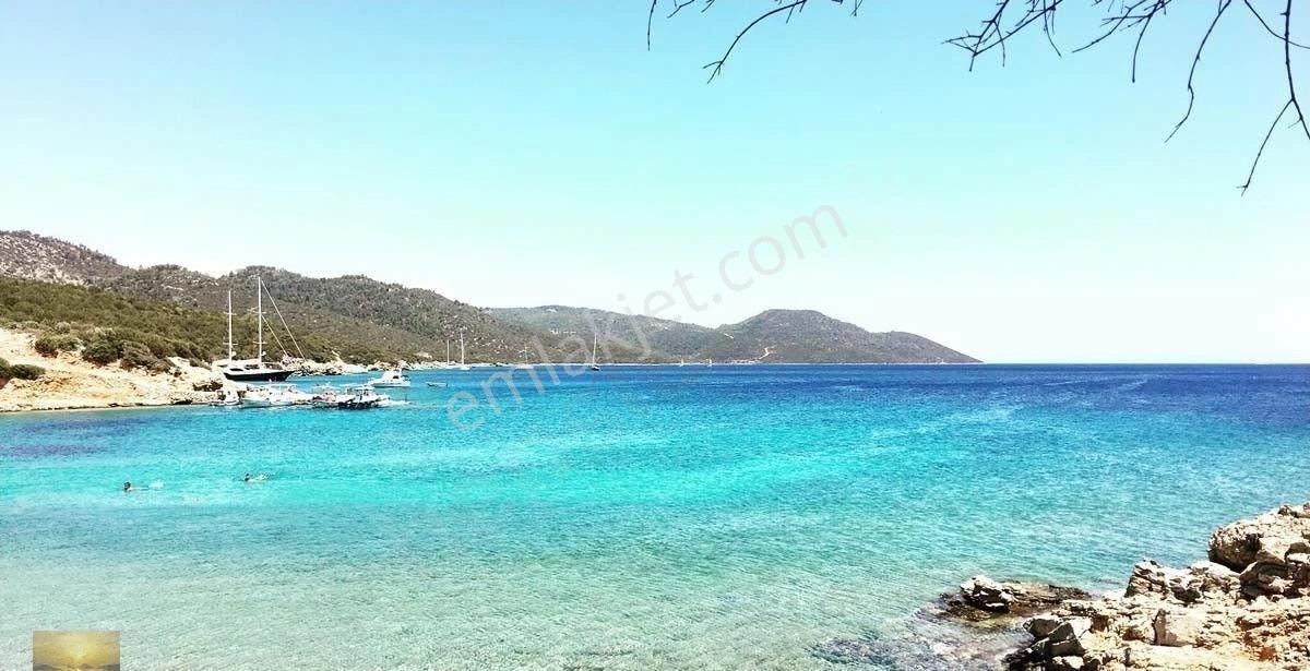Satılık Büyük Bahçeli Yeni Villa 4 Etrafı Çevrili Bulunmaz Fiyat Araç Ve Bodrum Civ Mulk Takası Ev - Görsel 14