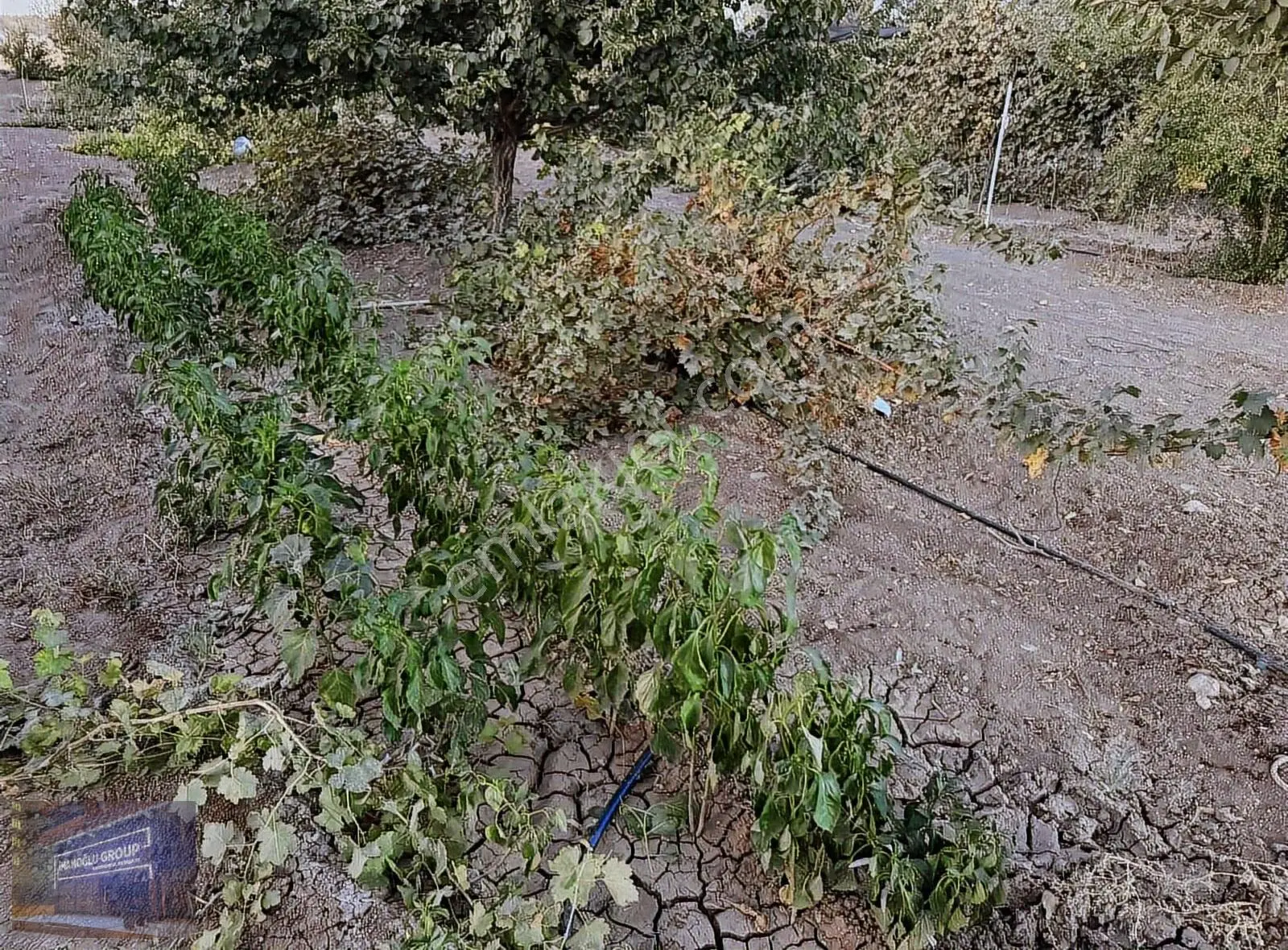 İmamoğlu'ndan Akziyaret'te Anahtar Teslim Çok Güzel Uygun Bağevi - Görsel 4