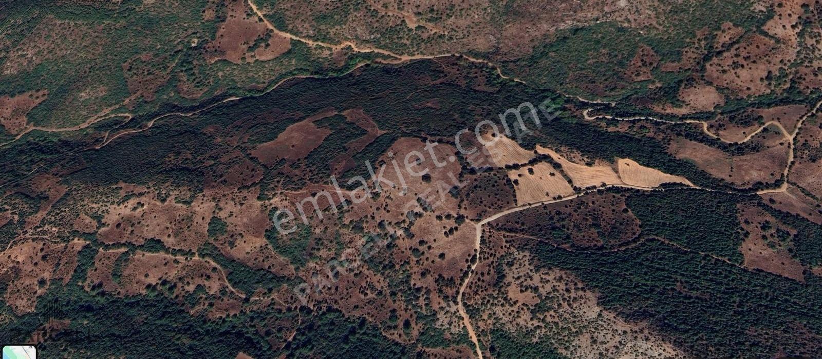 Kepsut Sarıfakılar Mah. Satılık 15761 M² Tarla - Görsel 9