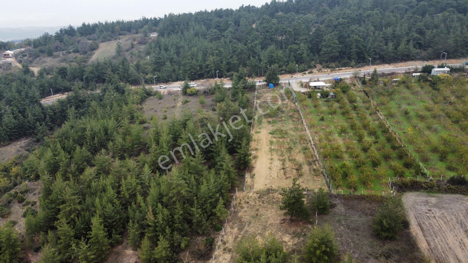 Ulucan'dan İnegöl Şipali Mahallesinde Hisseli Satılık Tarla