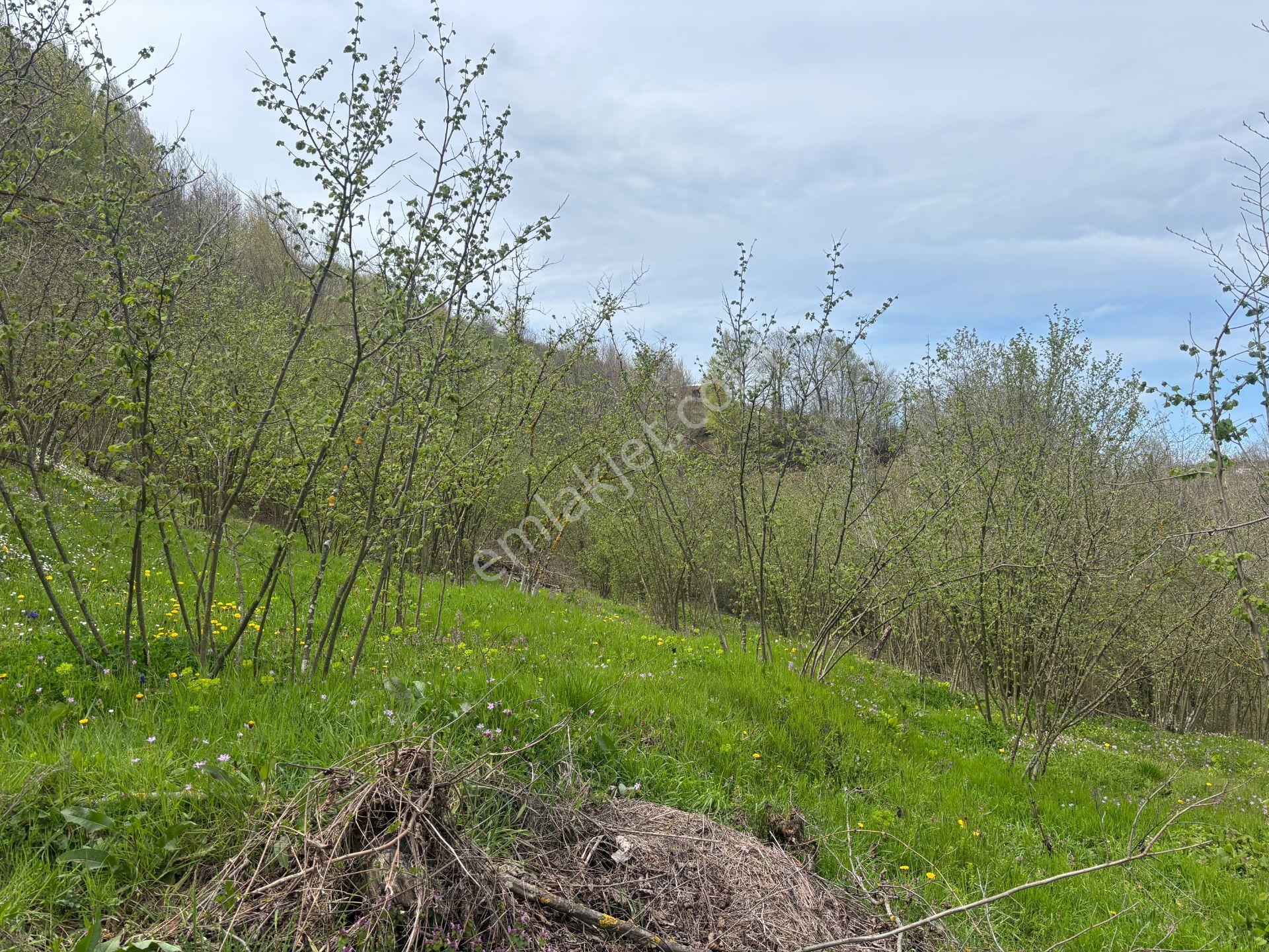 Boğaziçi Dokuzpınar Mahallesi'nde 1478 M2 Satılık Ticari İmarlı Arsa - Görsel 18