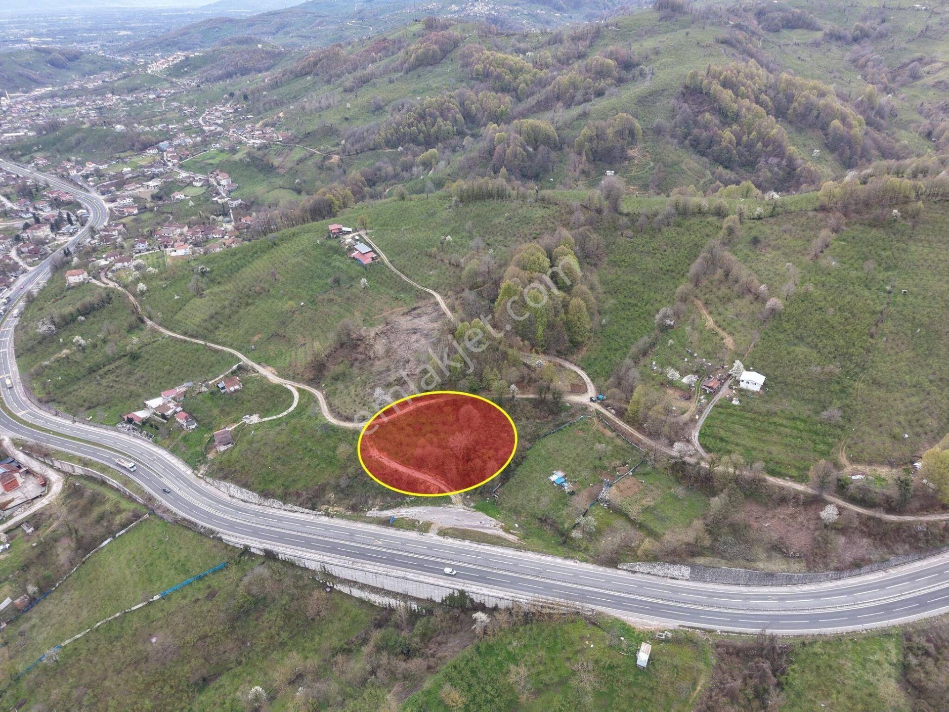 Boğaziçi Dokuzpınar Mahallesi'nde 1478 M2 Satılık Ticari İmarlı Arsa - Görsel 8