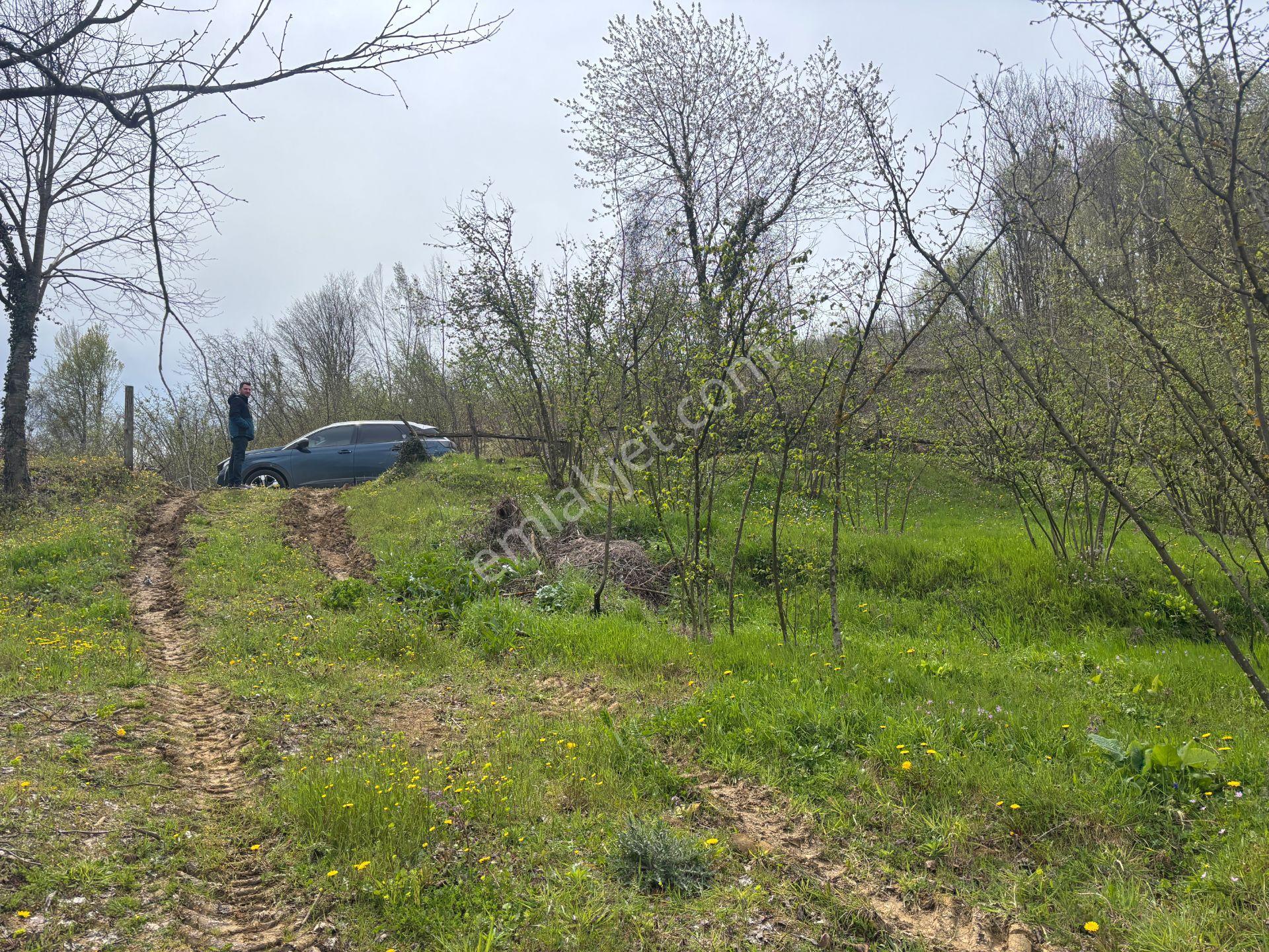 Boğaziçi Dokuzpınar Mahallesi'nde 1478 M2 Satılık Ticari İmarlı Arsa - Görsel 29