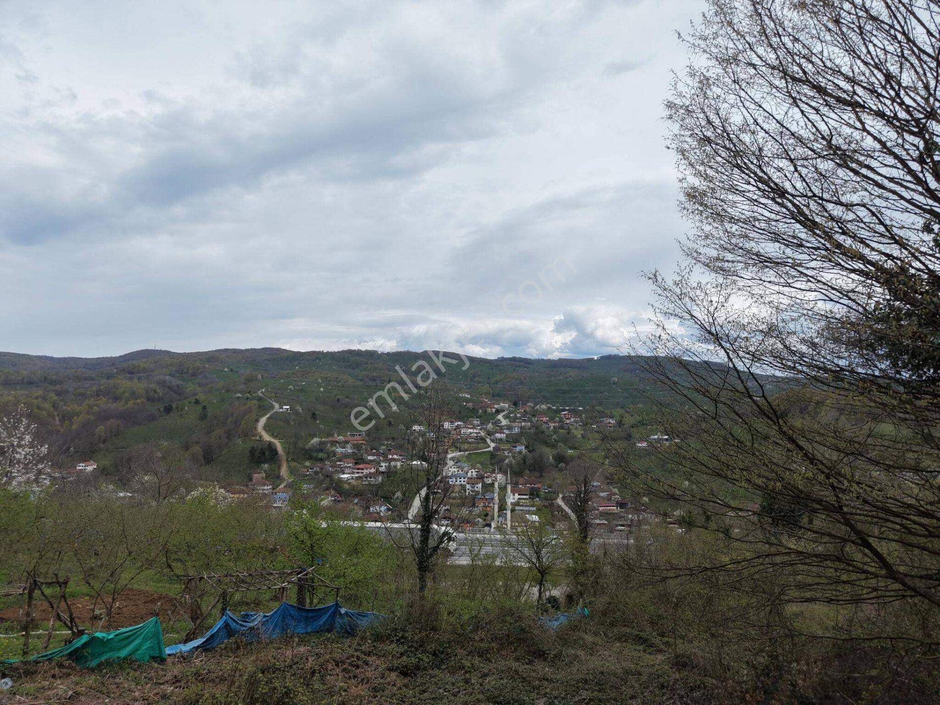 Boğaziçi Dokuzpınar Mahallesi'nde 1478 M2 Satılık Ticari İmarlı Arsa - Görsel 16