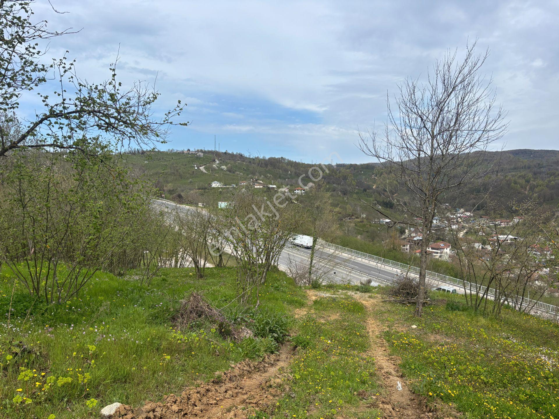 Boğaziçi Dokuzpınar Mahallesi'nde 1478 M2 Satılık Ticari İmarlı Arsa - Görsel 15