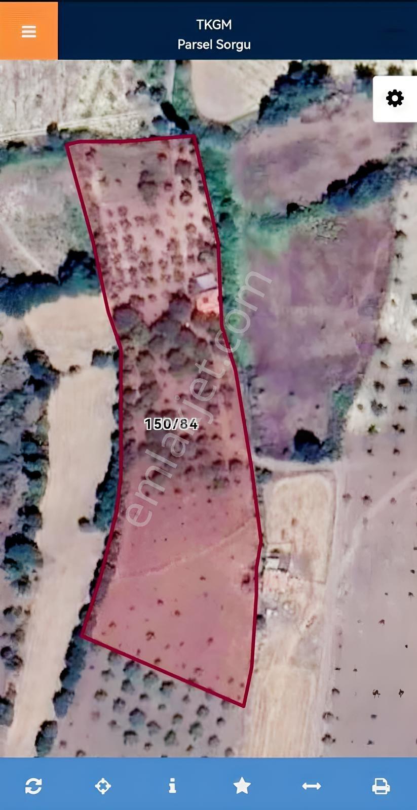 Fırsat Plan Savaştepede 11.317 M2 Meyve Bahçesi - Görsel 5