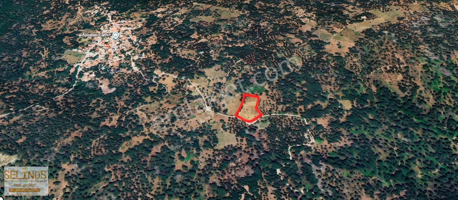 Ayvatlar Köyünde 6830 M2 Arazi - Görsel 2
