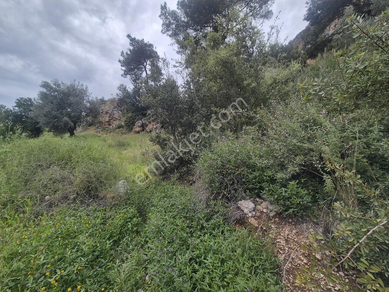Göcek'te Eşsiz Deniz Manzaralı Yatırımlık 1043 M2 Arazi - Görsel 10