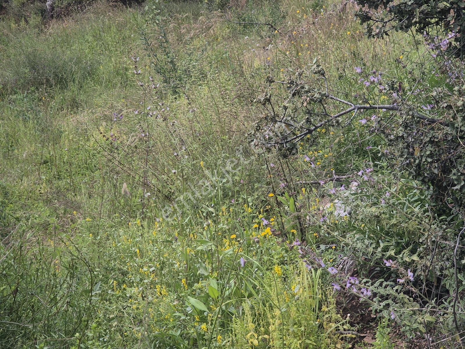 Göcek'te Eşsiz Deniz Manzaralı Yatırımlık 1043 M2 Arazi - Görsel 27