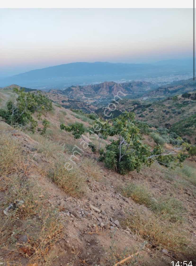 Aydın Nazilli Samalide Satılık İncir Bahçesi - Görsel 2