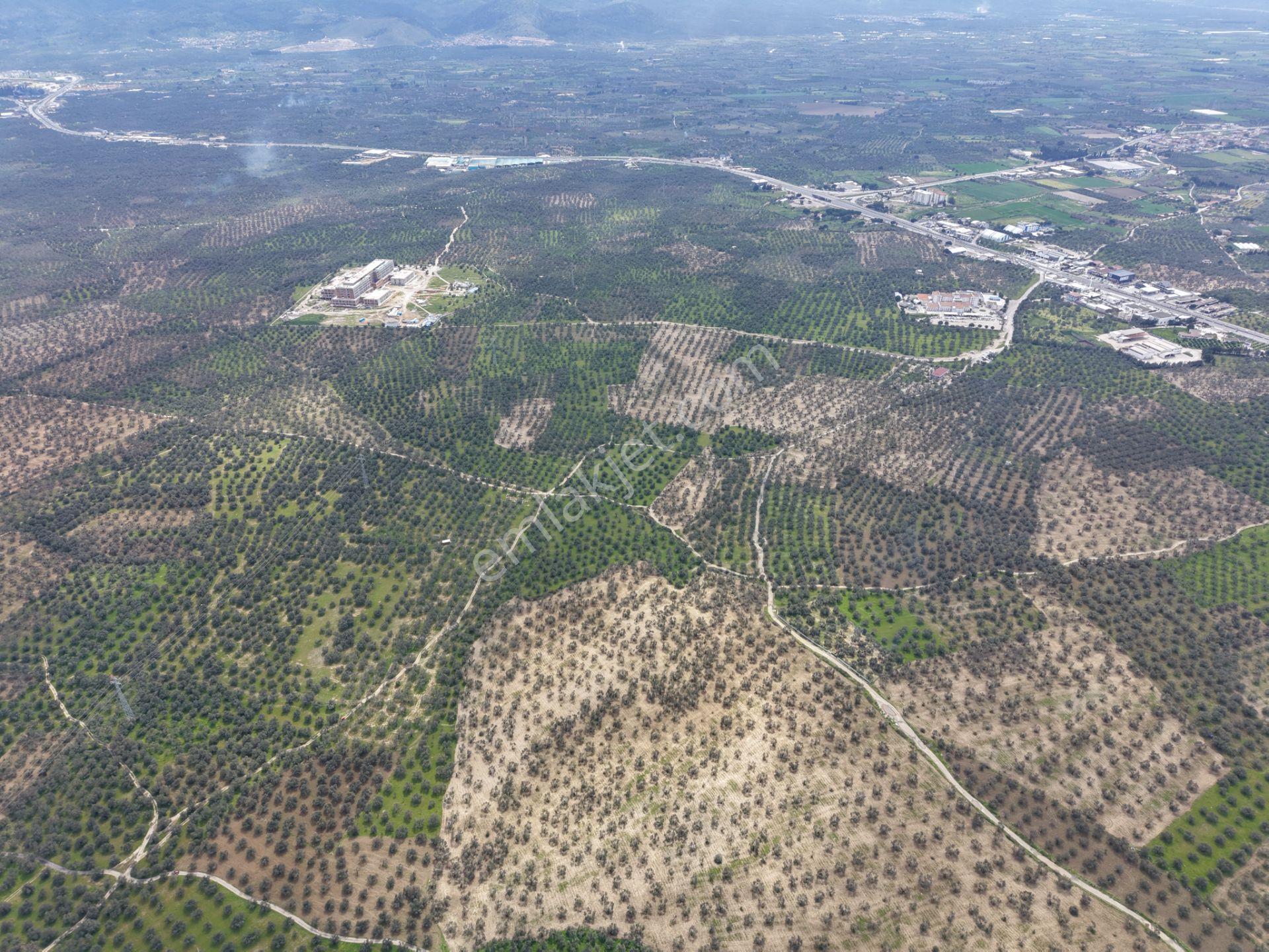 ▀▄mera Emlaktan Gazi İlyas Mh. Hastane Yakını 210m2 Zeytinlik - Görsel 7