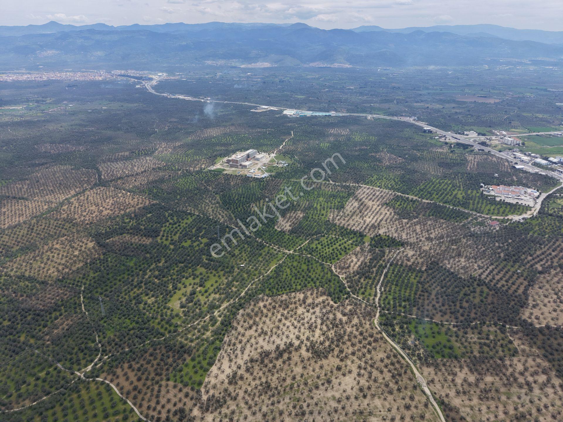 ▀▄mera Emlaktan Gazi İlyas Mh. Hastane Yakını 210m2 Zeytinlik - Görsel 17