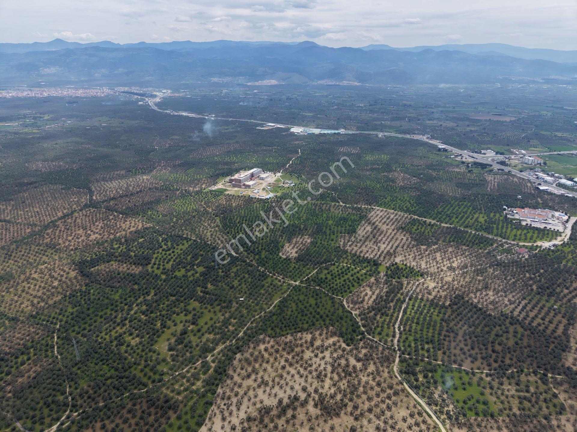 ▀▄mera Emlaktan Gazi İlyas Mh. Hastane Yakını 210m2 Zeytinlik - Görsel 13