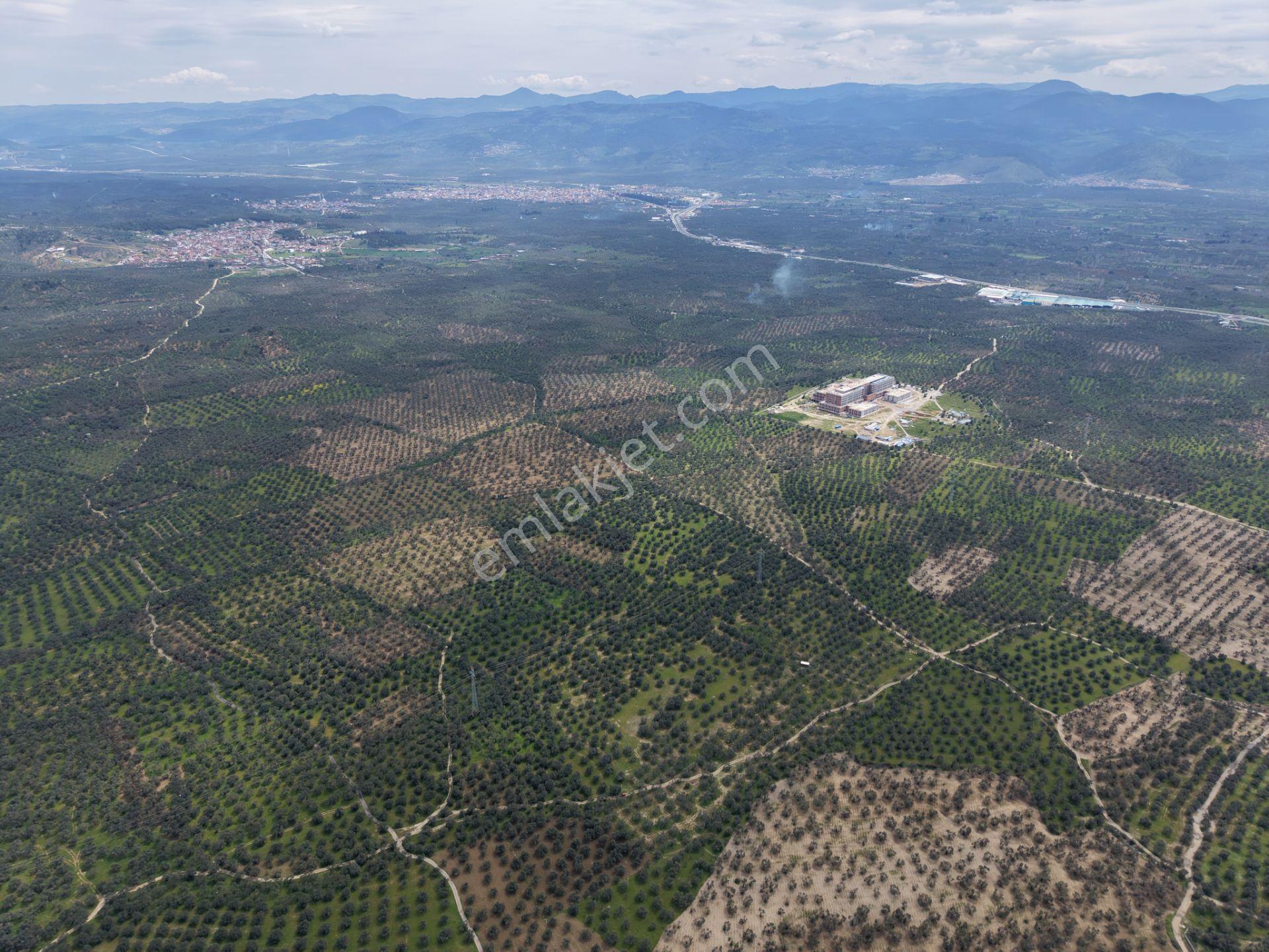 ▀▄mera Emlaktan Gazi İlyas Mh. Hastane Yakını 210m2 Zeytinlik - Görsel 11
