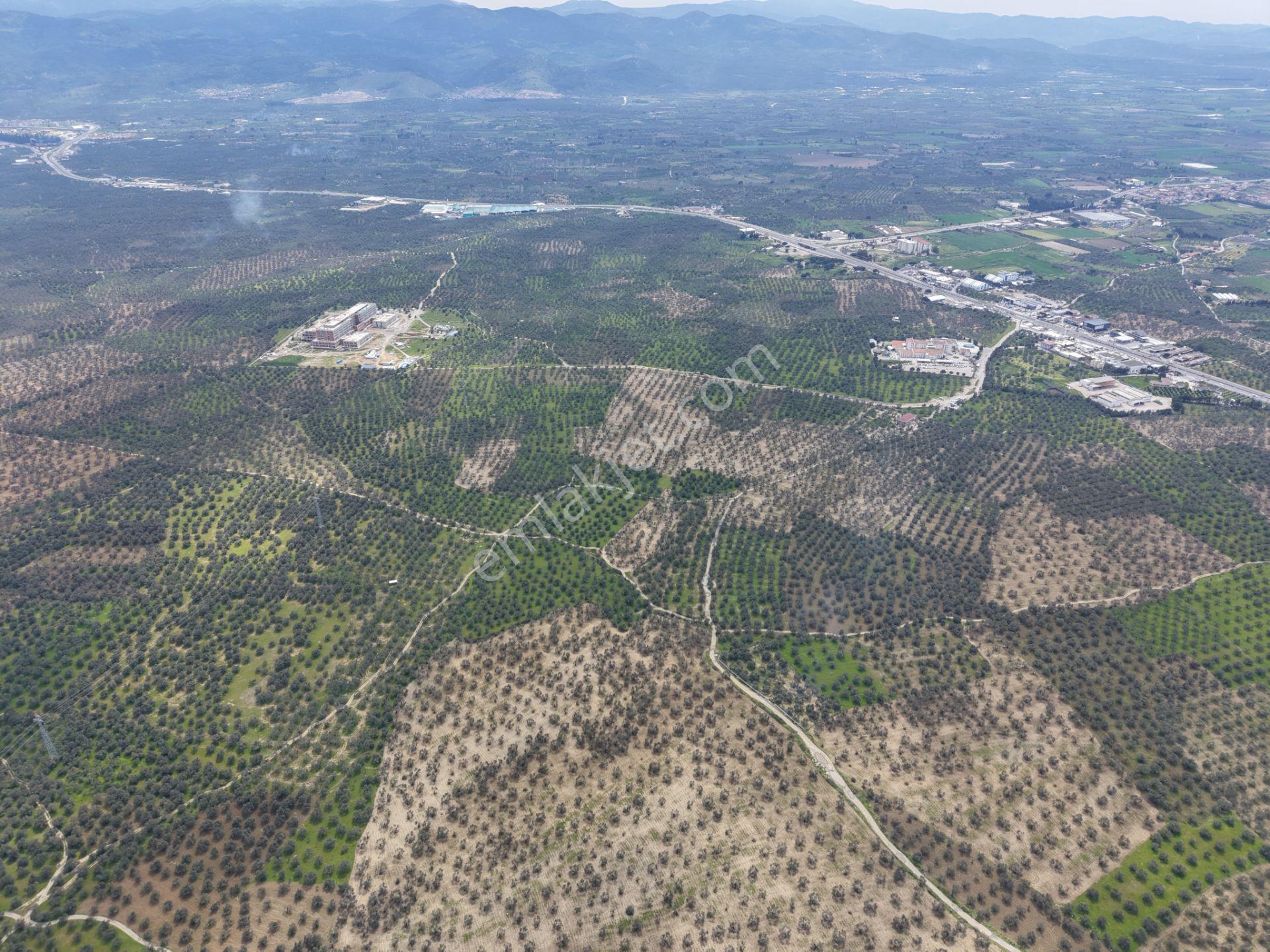▀▄mera Emlaktan Gazi İlyas Mh. Hastane Yakını 210m2 Zeytinlik - Görsel 25