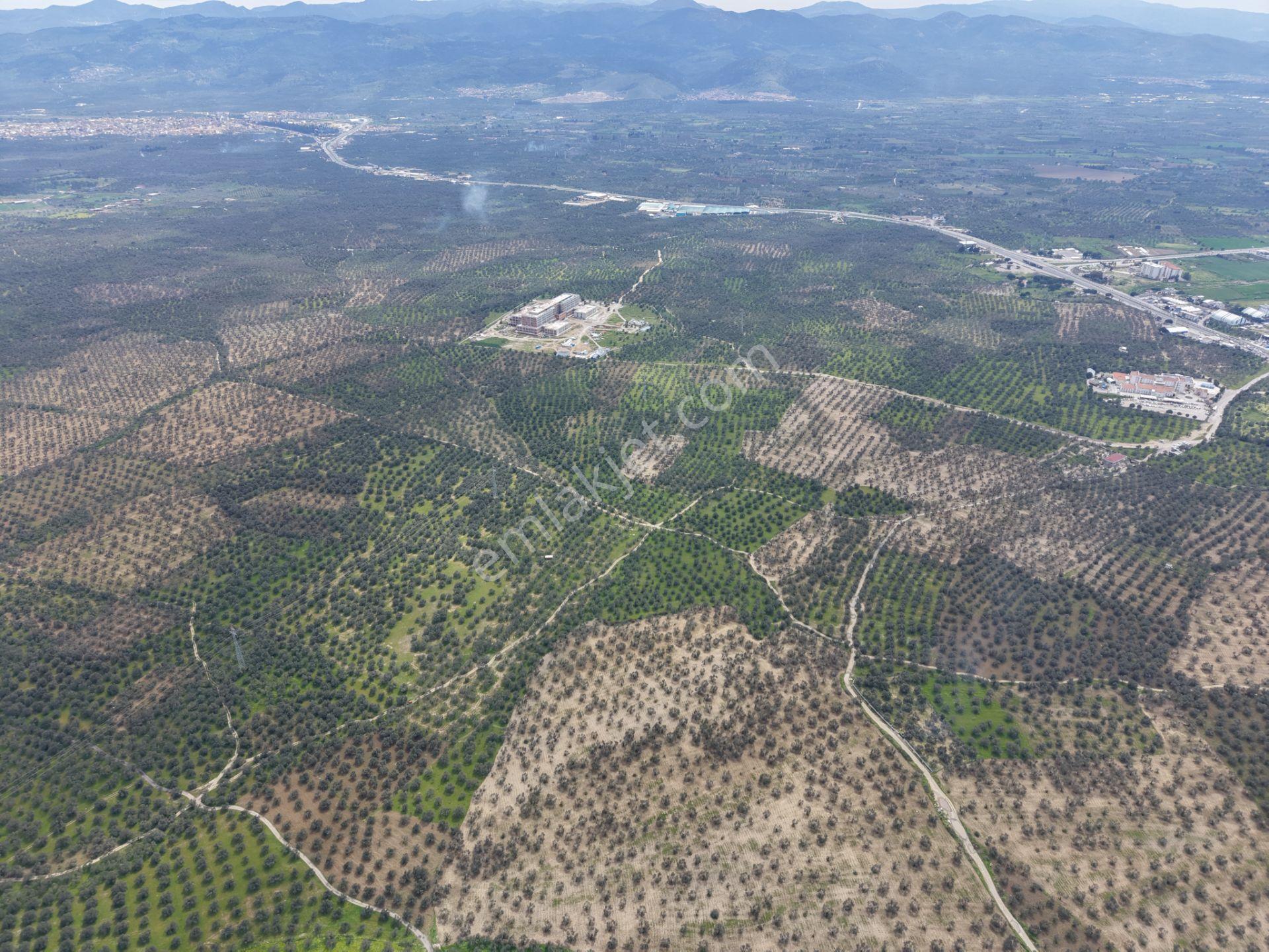 ▀▄mera Emlaktan Gazi İlyas Mh. Hastane Yakını 210m2 Zeytinlik - Görsel 15