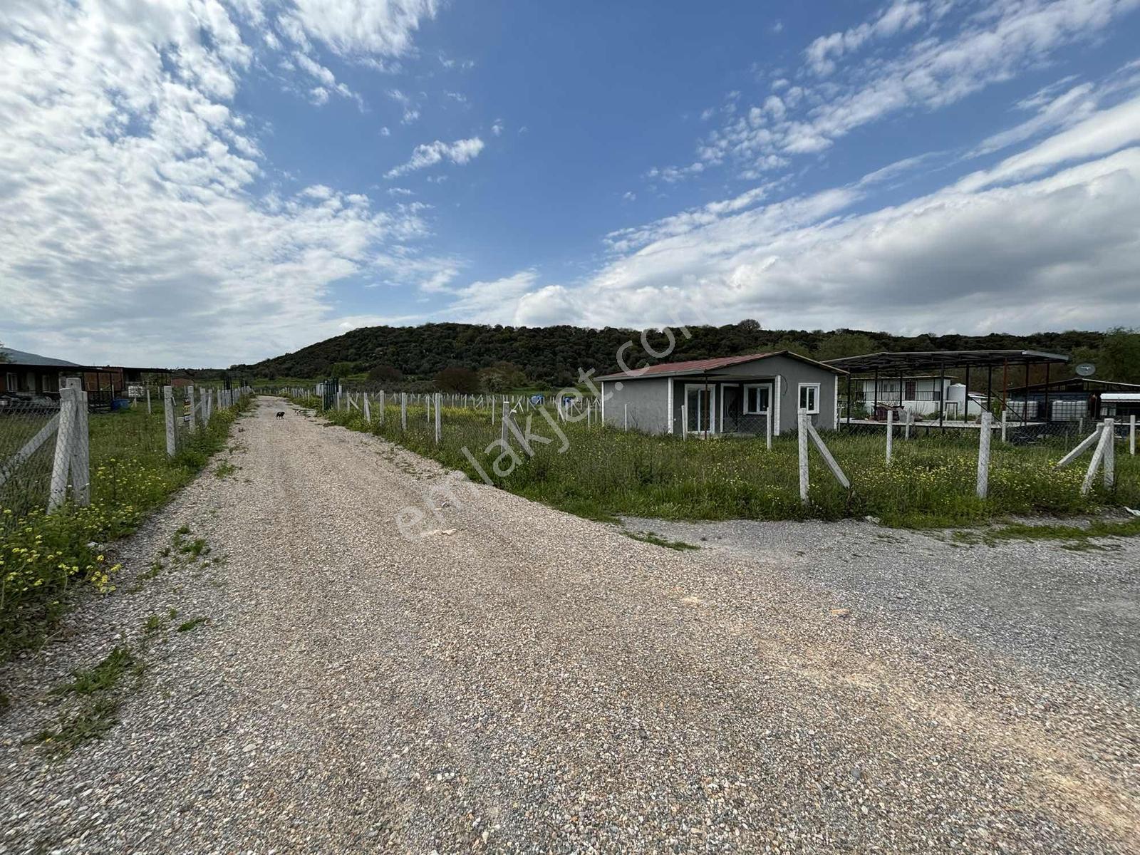 Değirmendere’de Satılık 240 M2 Köşe Parsel Hobi Bahçesi - Görsel 6