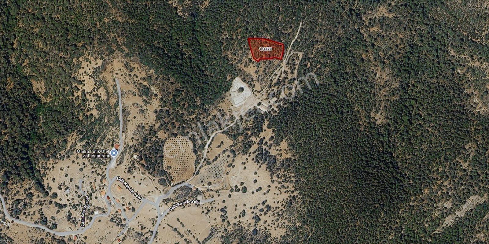 Pera Gayrimenkul'den Burhaniye Çallı'da Satılık 5050 M2 Tarla - Görsel 4