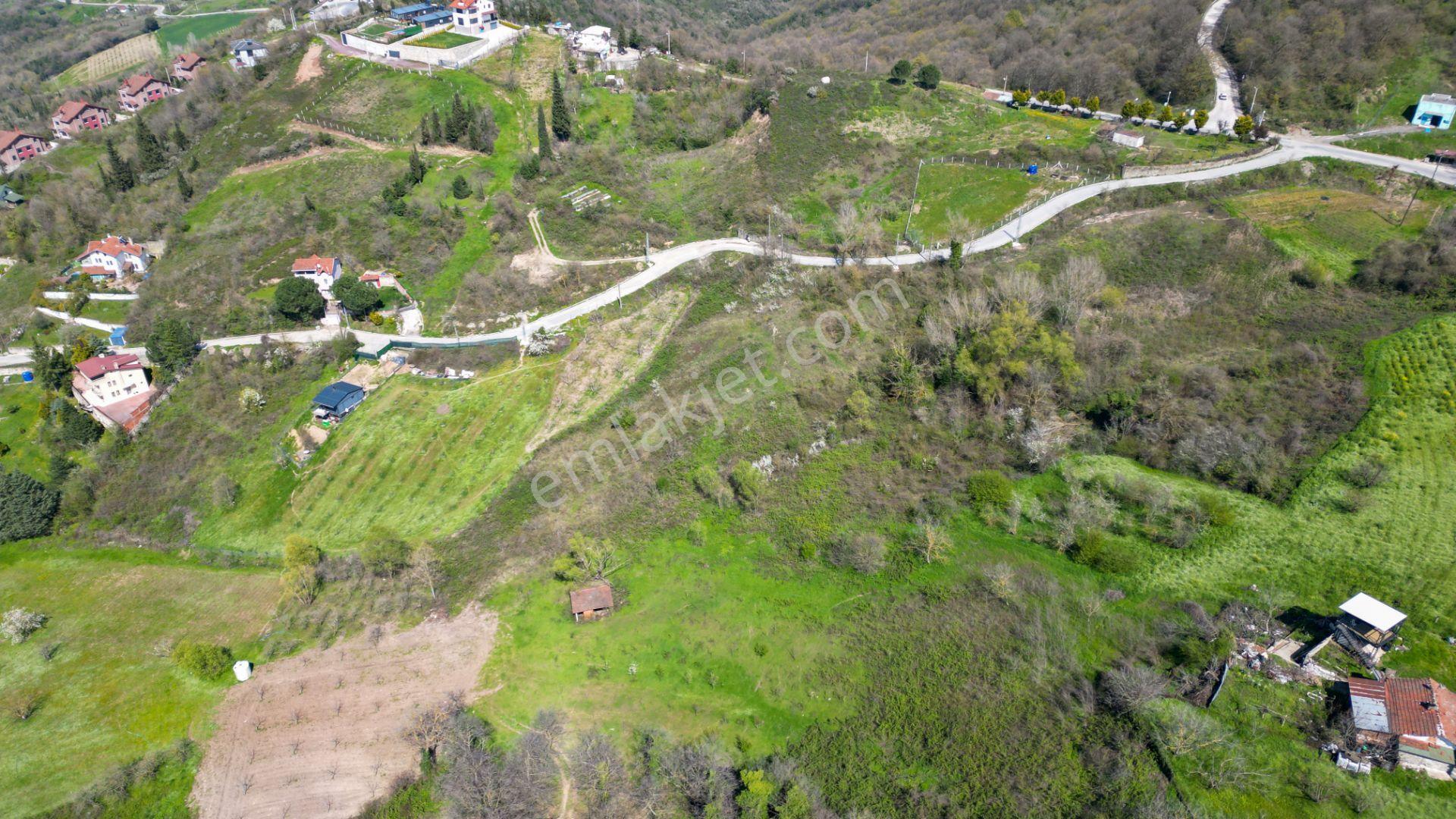 Karamürsel Oluklu %5 İmarlı 3867 M2 Satılık Bahçe - Görsel 10