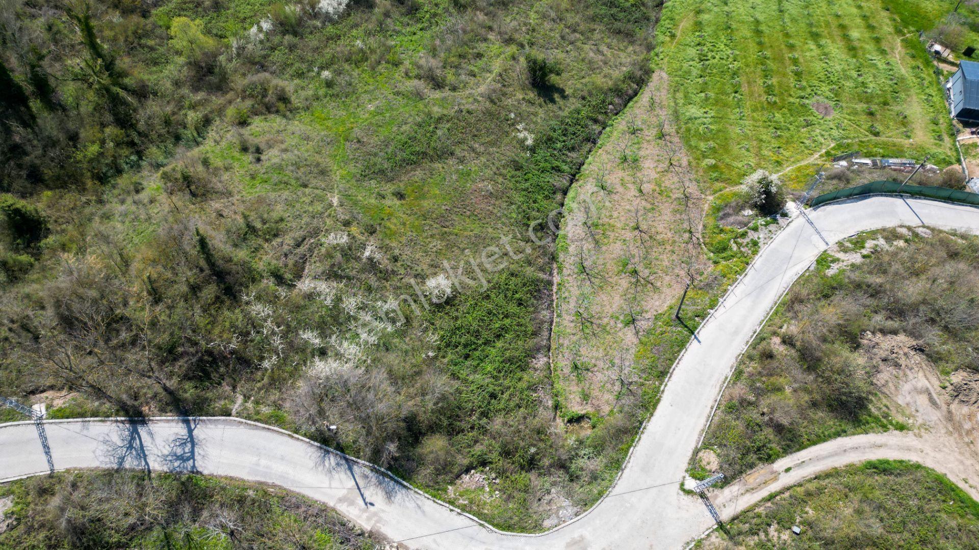 Karamürsel Oluklu %5 İmarlı 3867 M2 Satılık Bahçe - Görsel 13