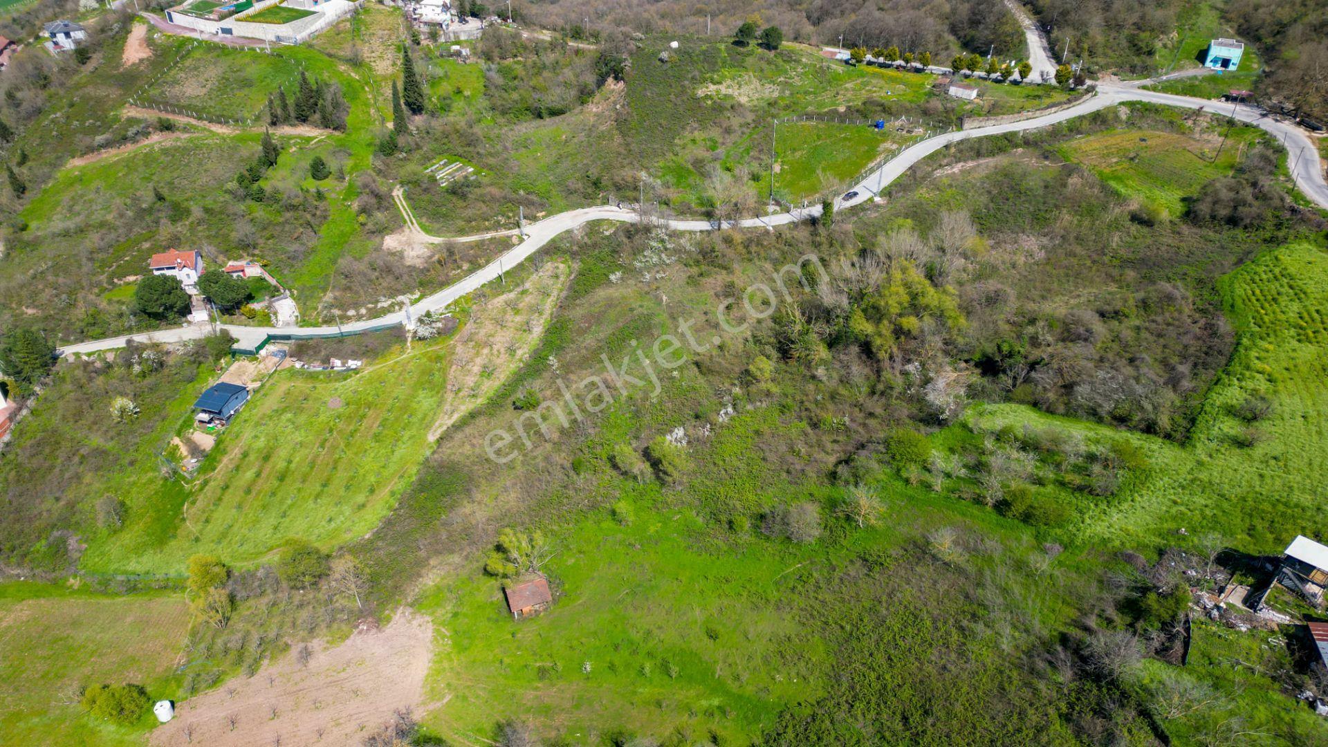 Karamürsel Oluklu %5 İmarlı 3867 M2 Satılık Bahçe - Görsel 6