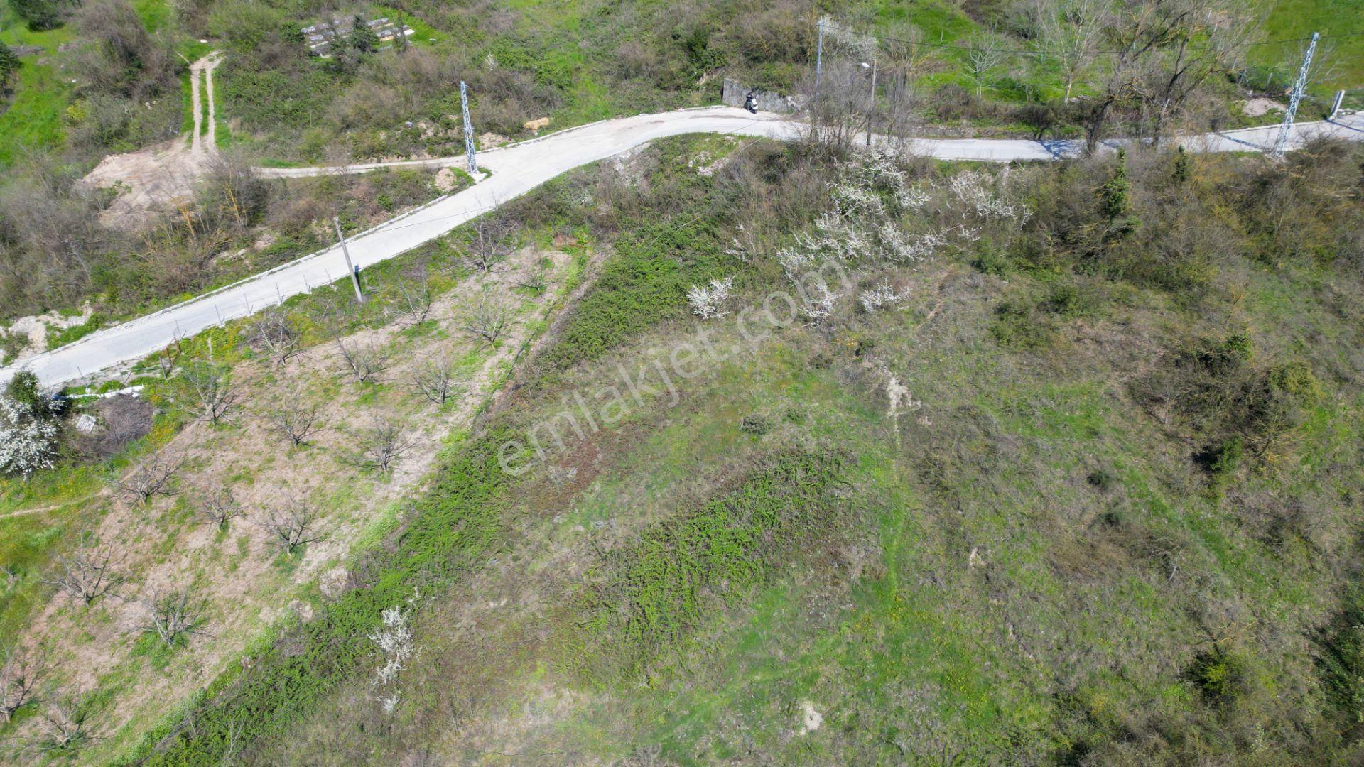 Karamürsel Oluklu %5 İmarlı 3867 M2 Satılık Bahçe - Görsel 11