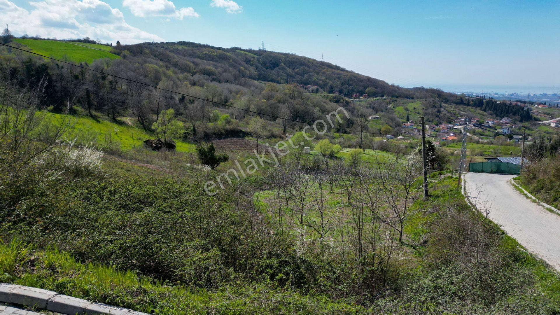 Karamürsel Oluklu %5 İmarlı 3867 M2 Satılık Bahçe - Görsel 15