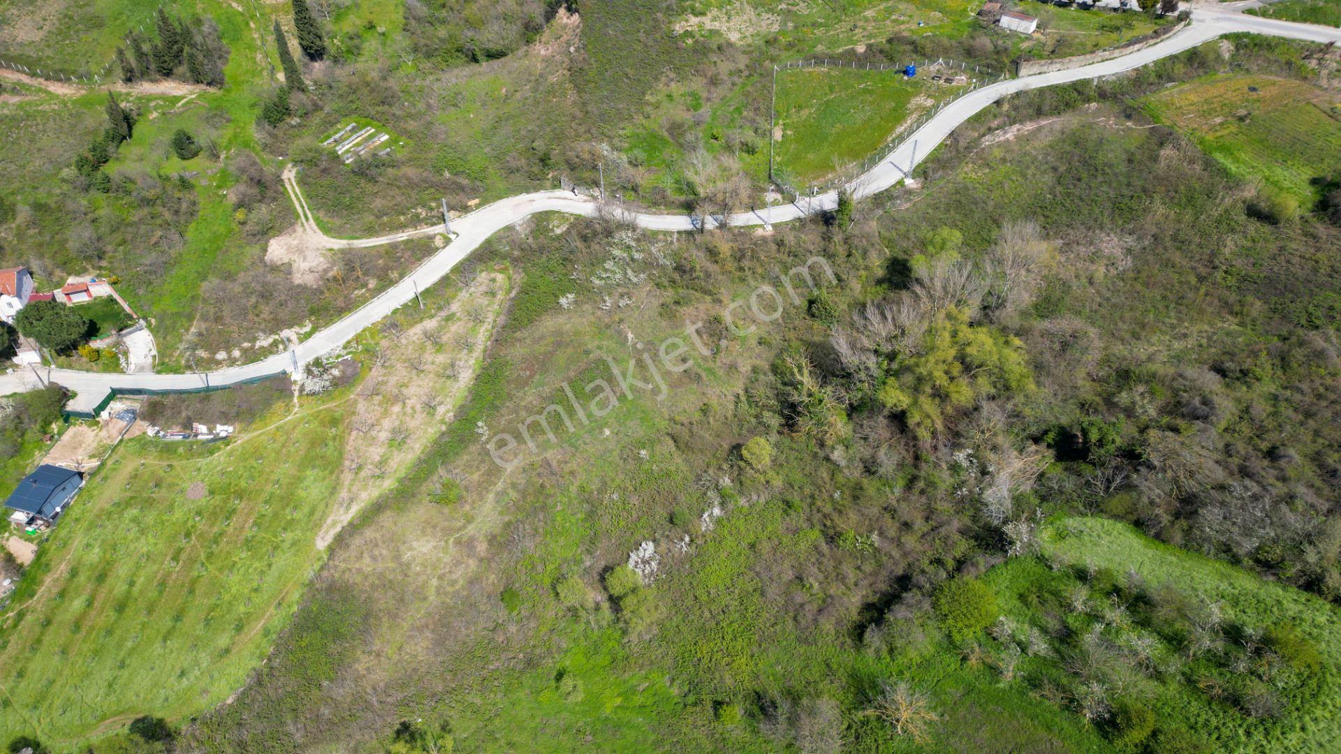Karamürsel Oluklu %5 İmarlı 3867 M2 Satılık Bahçe - Görsel 7