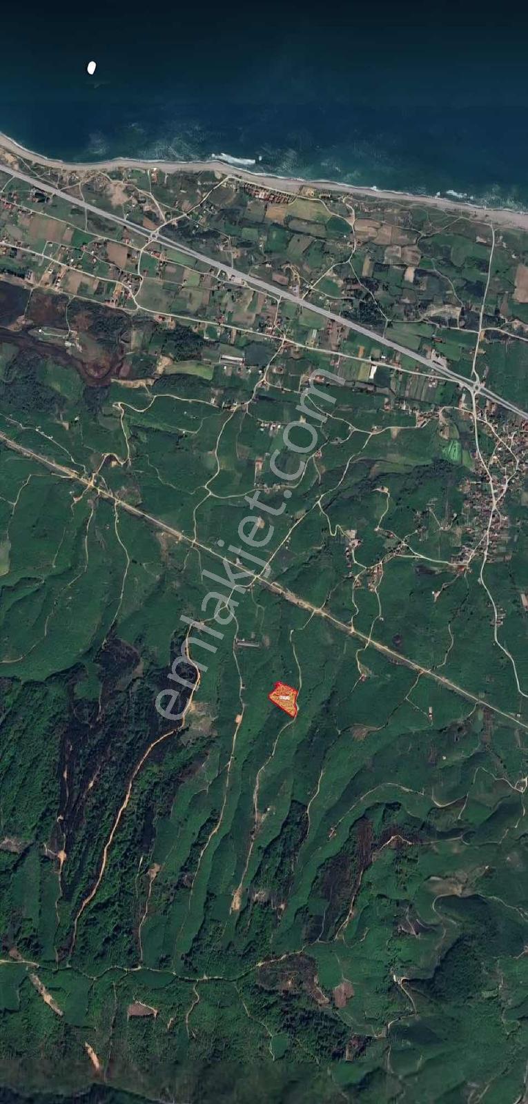 Elmas Gayrimenkulden Karasuda Satılık 5.200 M² Fındık Bahçesi - Görsel 4