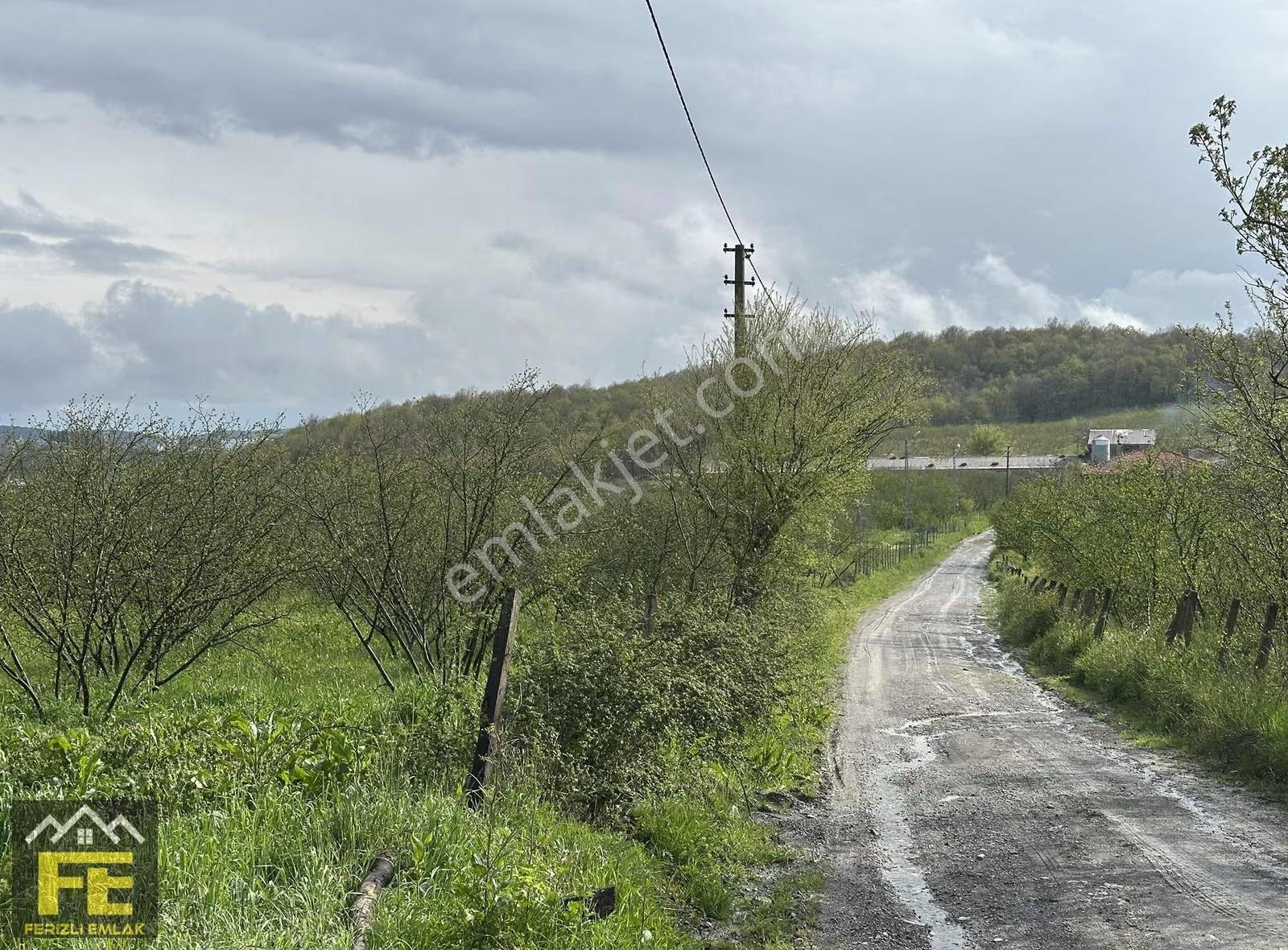 Sakarya Ferizli Esentepe Mahallesinde Satılık Kupon Arazi - Görsel 3