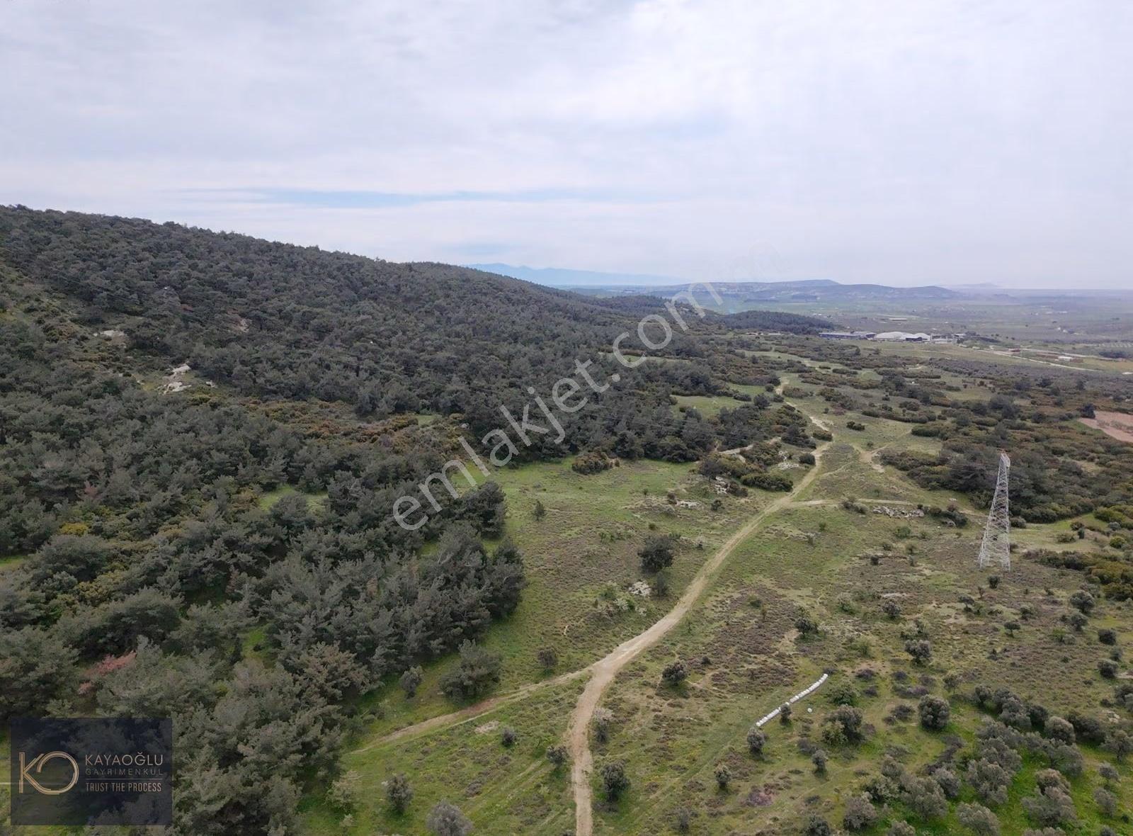 Foça Ilıpınar'da Devasa Fırsat: 61.500 M² Satılık Arazi - Görsel 13