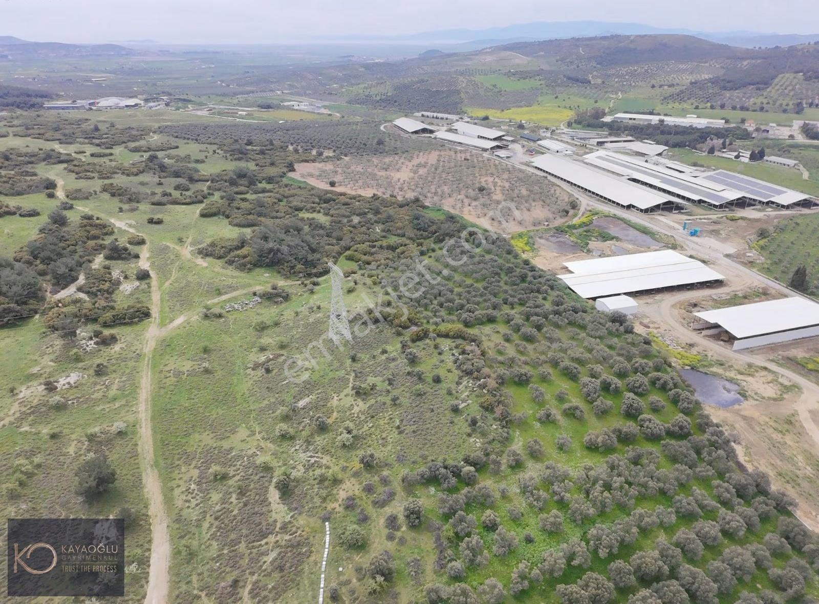 Foça Ilıpınar'da Devasa Fırsat: 61.500 M² Satılık Arazi - Görsel 8