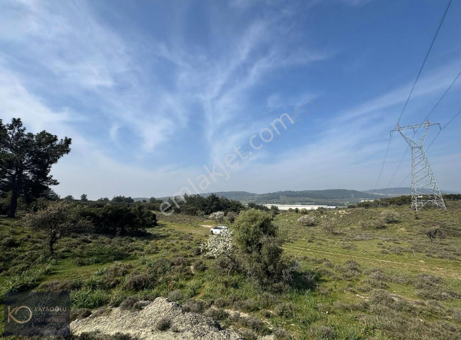 Foça Ilıpınar'da Devasa Fırsat: 61.500 M² Satılık Arazi - Görsel 16