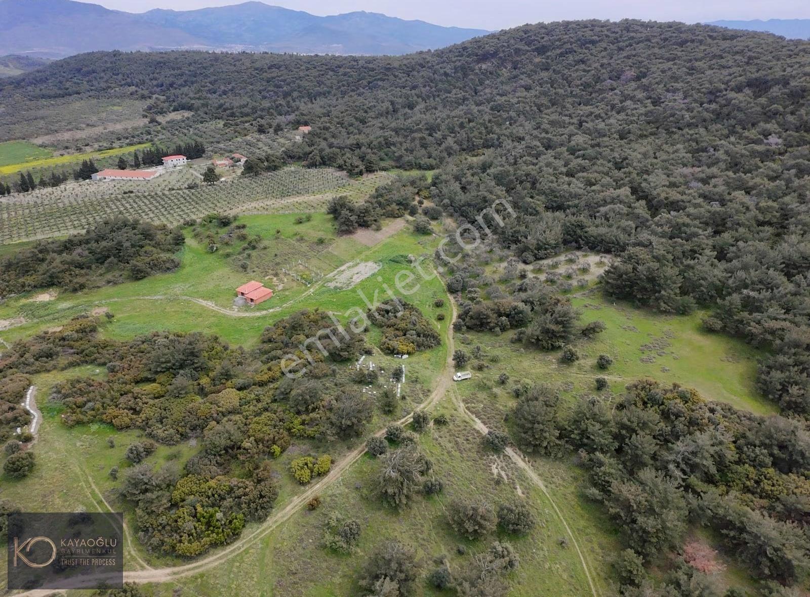 Foça Ilıpınar'da Devasa Fırsat: 61.500 M² Satılık Arazi - Görsel 19
