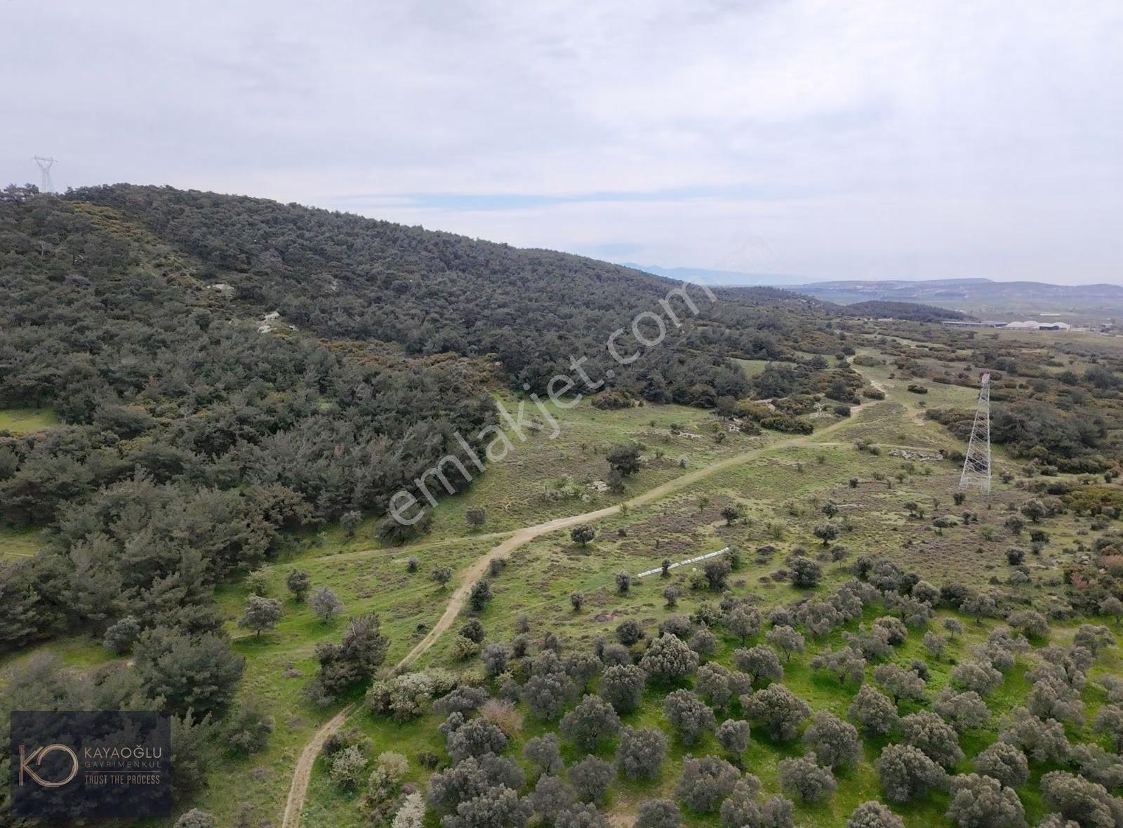 Foça Ilıpınar'da Devasa Fırsat: 61.500 M² Satılık Arazi - Görsel 14